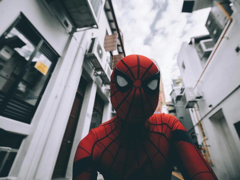 Spiderman Fan